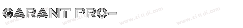 Garant Pro字体转换